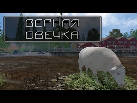 Верная овечка ( Trusty Sheep)